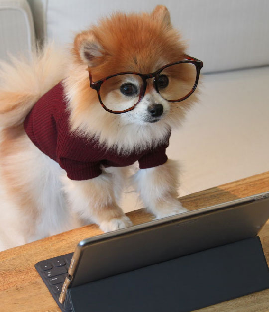 SocalDigital Office