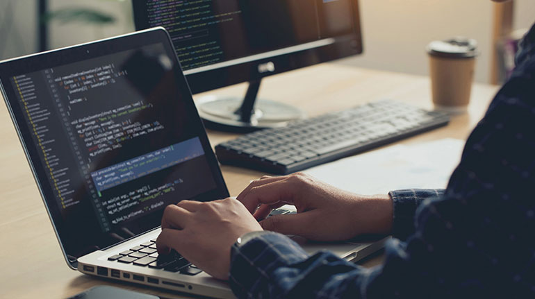 Professional Web Development Services